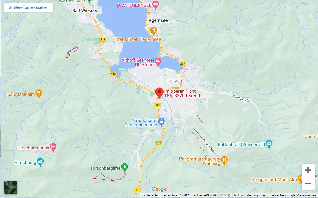Google Maps